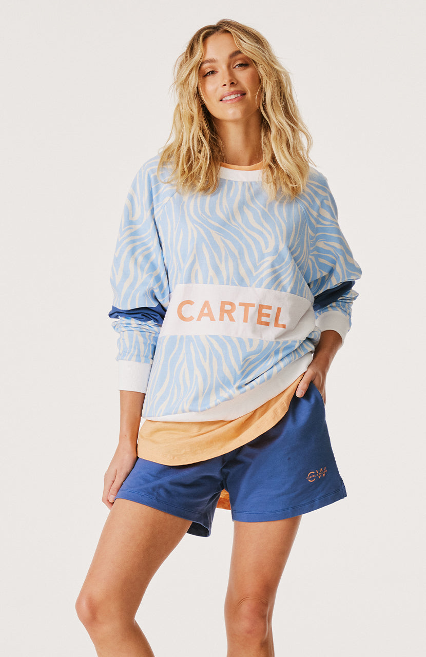 Matilda Sweater - Ice Blue Zebra